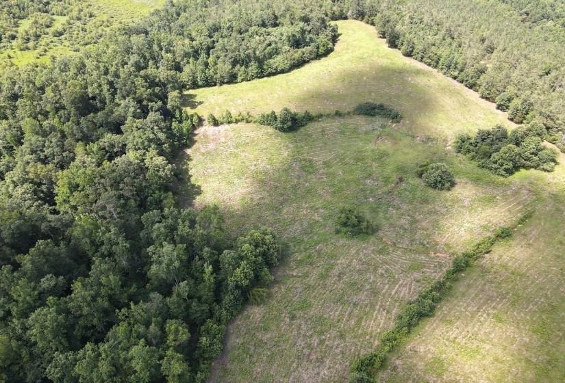 1 MARSHALL DR, Morris Chapel, Tennessee 38361, 0 , 0 ,0,Land,For Sale,MARSHALL,0,10217439