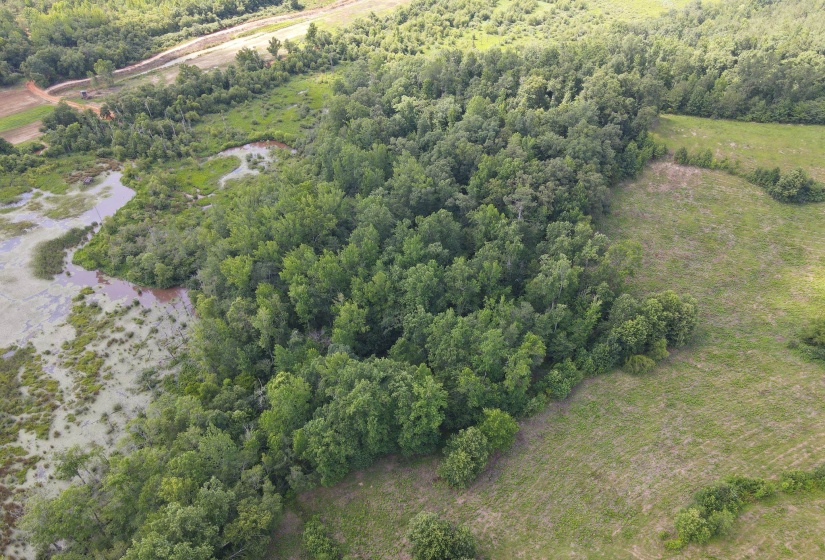 1 MARSHALL DR, Morris Chapel, Tennessee 38361, 0 , 0 ,0,Land,For Sale,MARSHALL,0,10217439