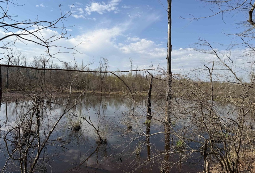 1 MARSHALL DR, Morris Chapel, Tennessee 38361, 0 , 0 ,0,Land,For Sale,MARSHALL,0,10217439