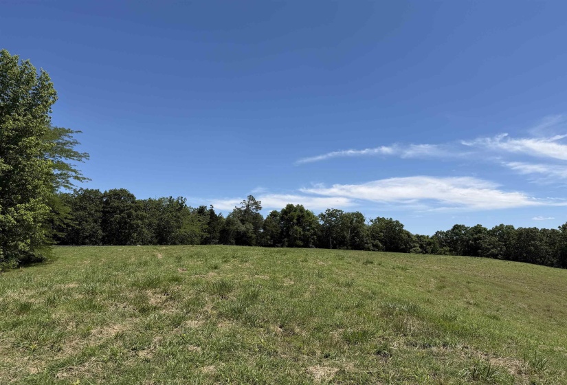 1 MARSHALL DR, Morris Chapel, Tennessee 38361, 0 , 0 ,0,Land,For Sale,MARSHALL,0,10217439