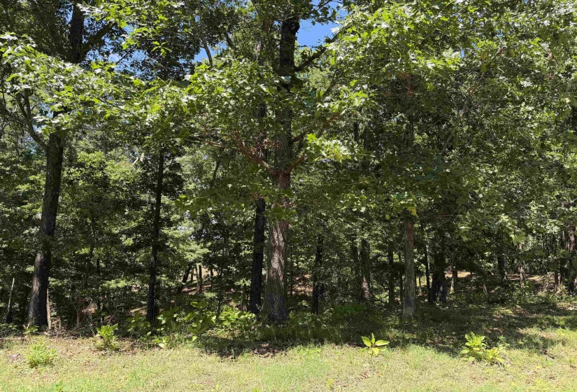 1 MARSHALL DR, Morris Chapel, Tennessee 38361, 0 , 0 ,0,Land,For Sale,MARSHALL,0,10217439