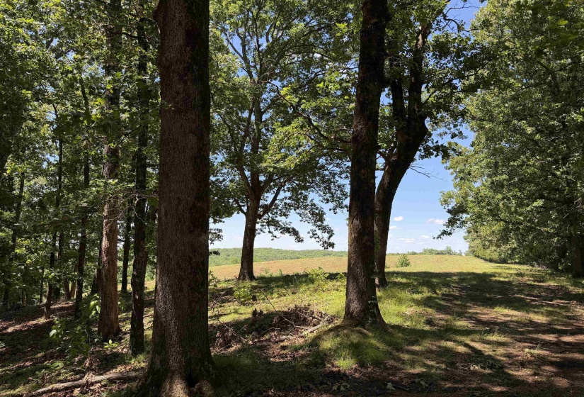 1 MARSHALL DR, Morris Chapel, Tennessee 38361, 0 , 0 ,0,Land,For Sale,MARSHALL,0,10217439