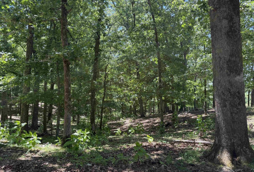 1 MARSHALL DR, Morris Chapel, Tennessee 38361, 0 , 0 ,0,Land,For Sale,MARSHALL,0,10217439