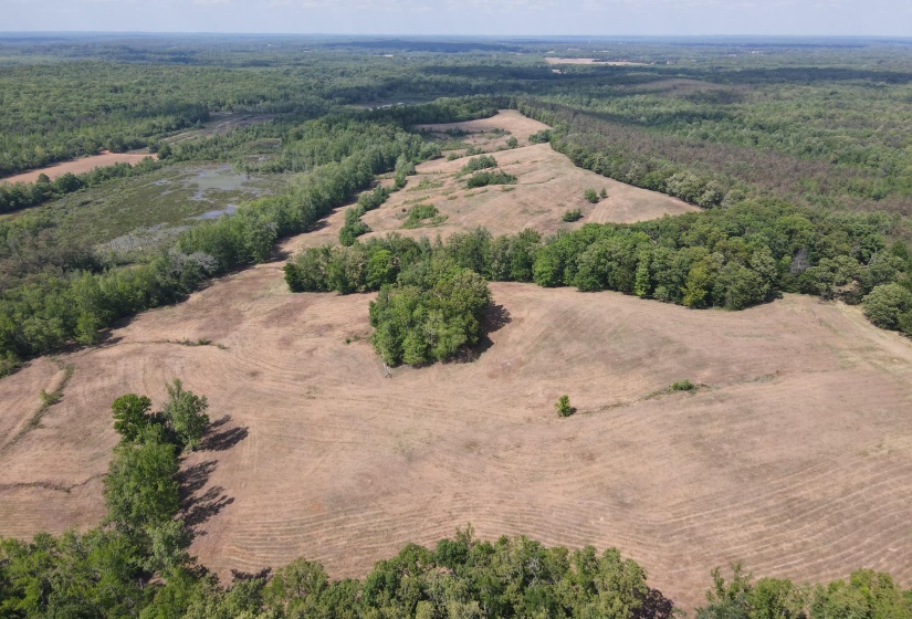 1 MARSHALL DR, Morris Chapel, Tennessee 38361, 0 , 0 ,0,Land,For Sale,MARSHALL,0,10217439