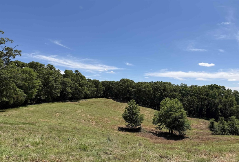 1 MARSHALL DR, Morris Chapel, Tennessee 38361, 0 , 0 ,0,Land,For Sale,MARSHALL,0,10217439