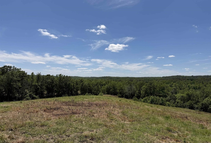 1 MARSHALL DR, Morris Chapel, Tennessee 38361, 0 , 0 ,0,Land,For Sale,MARSHALL,0,10217439