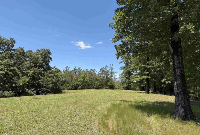 1 MARSHALL DR, Morris Chapel, Tennessee 38361, 0 , 0 ,0,Land,For Sale,MARSHALL,0,10217439