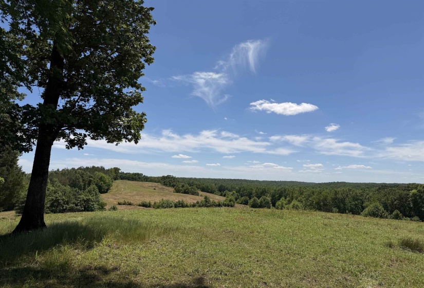 1 MARSHALL DR, Morris Chapel, Tennessee 38361, 0 , 0 ,0,Land,For Sale,MARSHALL,0,10217439