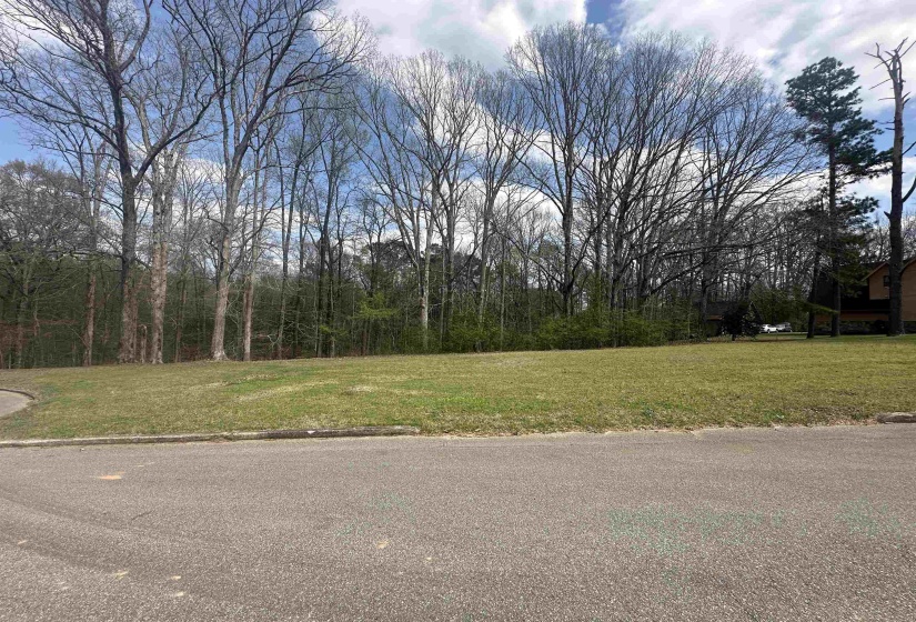 0 SHELBY LN, Bolivar, Tennessee 38008, ,Land,For Sale,SHELBY,10217474