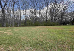 0 SHELBY LN, Bolivar, Tennessee 38008, ,Land,For Sale,SHELBY,10217474 0 SHELBY LN, Bolivar, Tennessee 38008, ,Land,For Sale,SHELBY,10217474