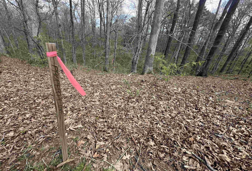 0 SHELBY LN, Bolivar, Tennessee 38008, ,Land,For Sale,SHELBY,10217474