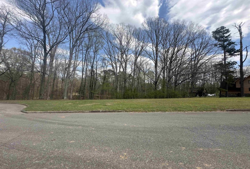 0 SHELBY LN, Bolivar, Tennessee 38008, ,Land,For Sale,SHELBY,10217474