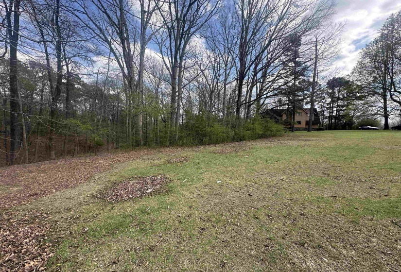 0 SHELBY LN, Bolivar, Tennessee 38008, ,Land,For Sale,SHELBY,10217474