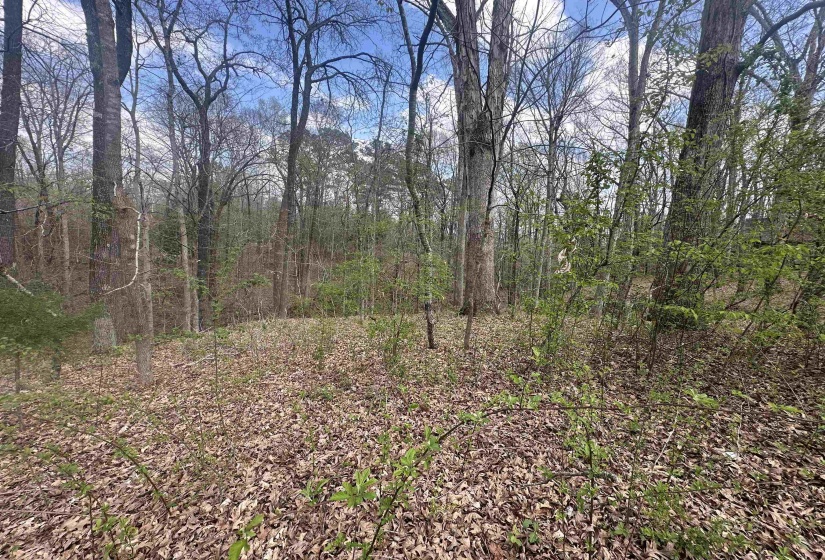 0 SHELBY LN, Bolivar, Tennessee 38008, ,Land,For Sale,SHELBY,10217474