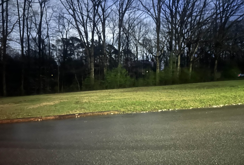 0 SHELBY LN, Bolivar, Tennessee 38008, ,Land,For Sale,SHELBY,10217474