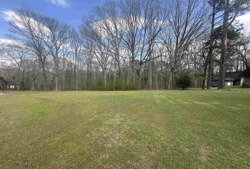 0 SHELBY LN, Bolivar, Tennessee 38008, ,Land,For Sale,SHELBY,10217474