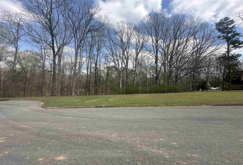 0 SHELBY LN, Bolivar, Tennessee 38008, ,Land,For Sale,SHELBY,10217474