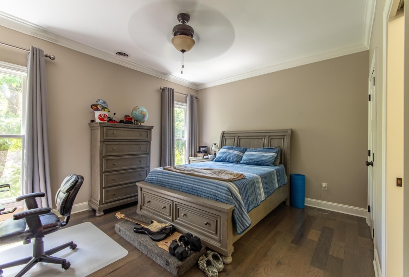 Bedroom with crown molding, dark hardwood / wood-style floors, multiple windows, and ceiling fan