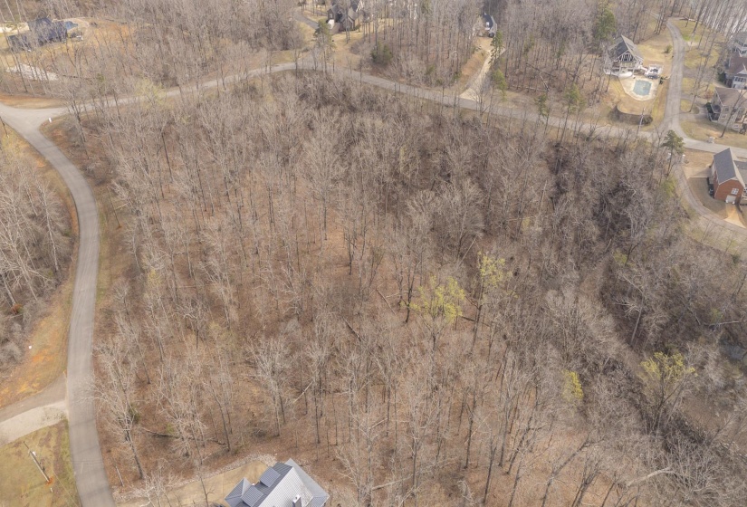 Drone / aerial view