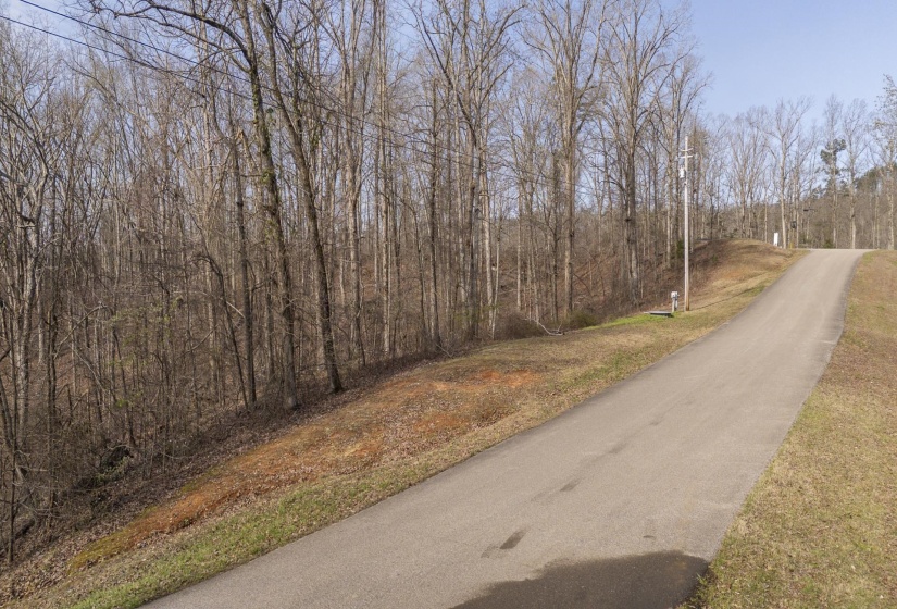 View of asphalt road