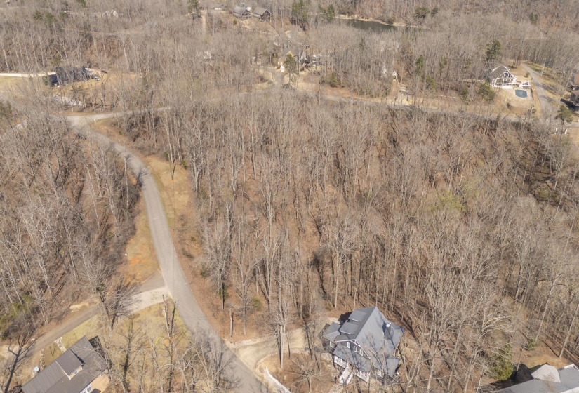 Aerial view of property's location featuring a forest
