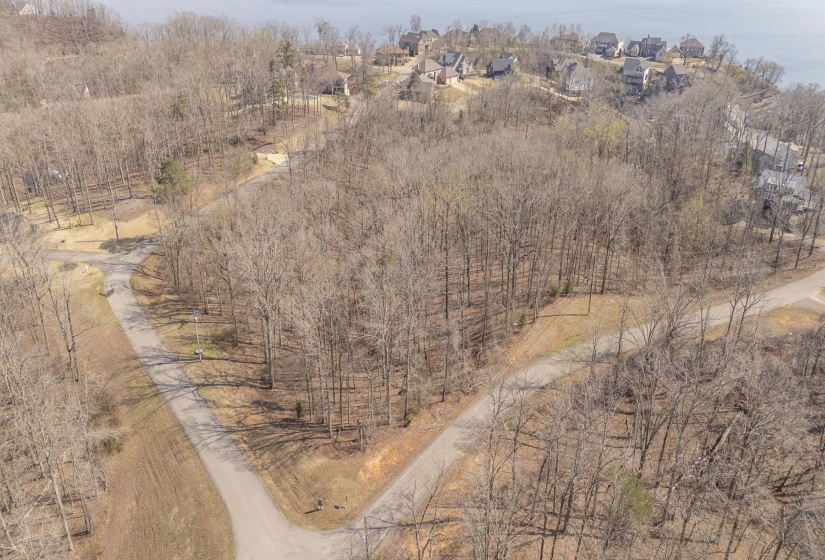 Aerial view of a tree filled landscape