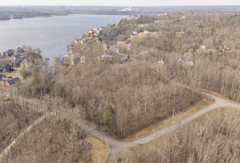 Aerial view of a large body of water and a forest