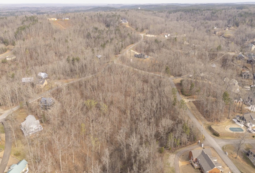 Aerial view of a forest