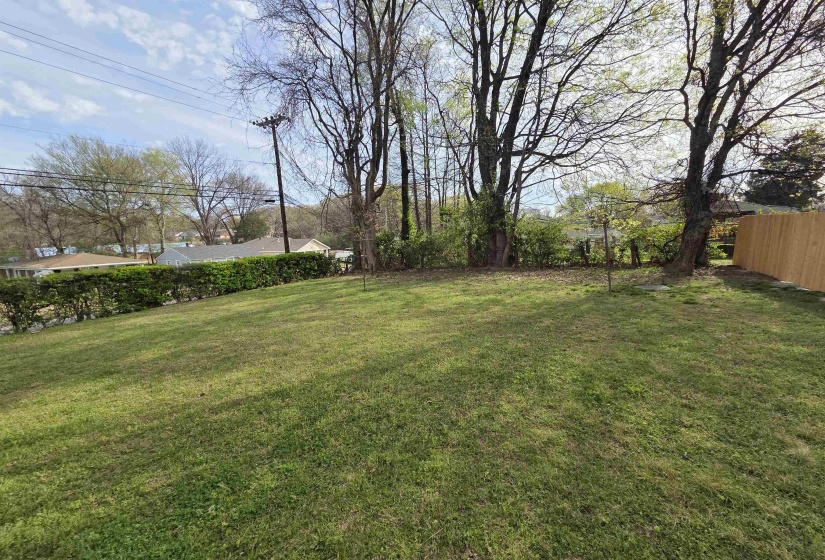 View of yard