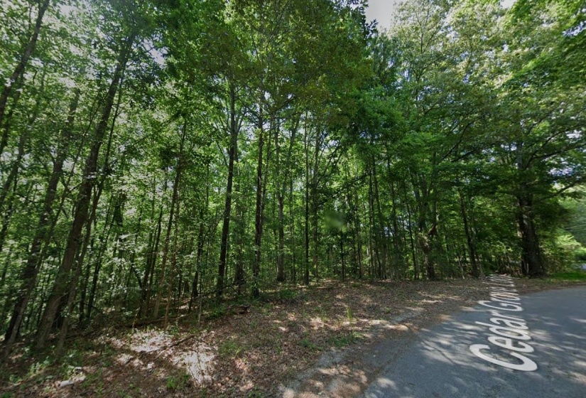 CEDAR GROVE LOOP, Bolivar, Tennessee 38008, 0 , 0 ,0,Land,For Sale,CEDAR GROVE,0,10217539