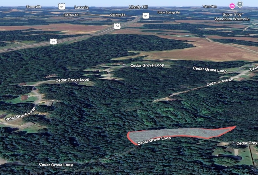 CEDAR GROVE LOOP, Bolivar, Tennessee 38008, 0 , 0 ,0,Land,For Sale,CEDAR GROVE,0,10217539