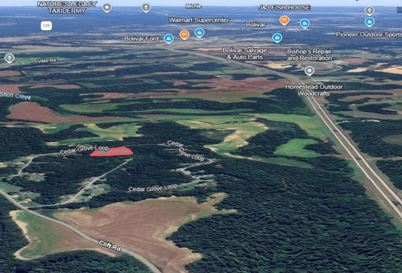 CEDAR GROVE LOOP, Bolivar, Tennessee 38008, 0 , 0 ,0,Land,For Sale,CEDAR GROVE,0,10217539