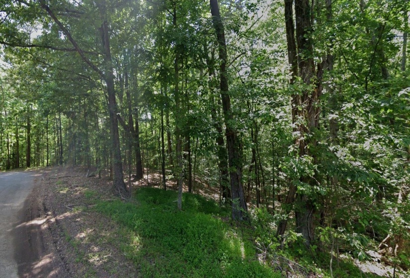 CEDAR GROVE LOOP, Bolivar, Tennessee 38008, 0 , 0 ,0,Land,For Sale,CEDAR GROVE,0,10217539