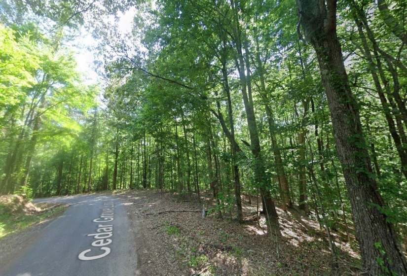 CEDAR GROVE LOOP, Bolivar, Tennessee 38008, 0 , 0 ,0,Land,For Sale,CEDAR GROVE,0,10217539