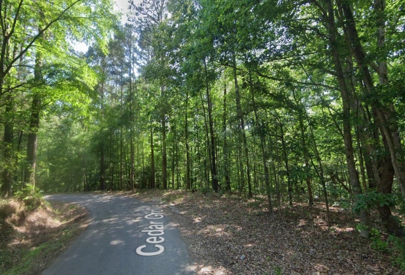 CEDAR GROVE LOOP, Bolivar, Tennessee 38008, 0 , 0 ,0,Land,For Sale,CEDAR GROVE,0,10217539