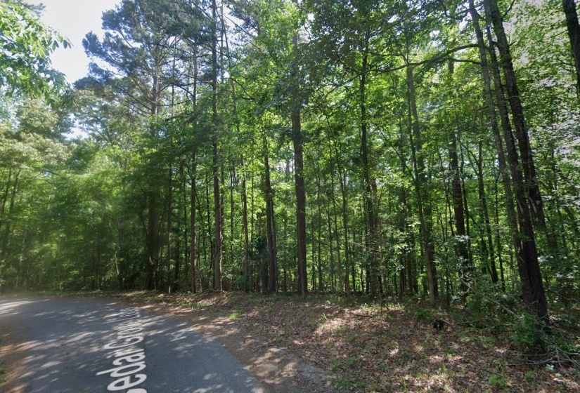 CEDAR GROVE LOOP, Bolivar, Tennessee 38008, 0 , 0 ,0,Land,For Sale,CEDAR GROVE,0,10217539