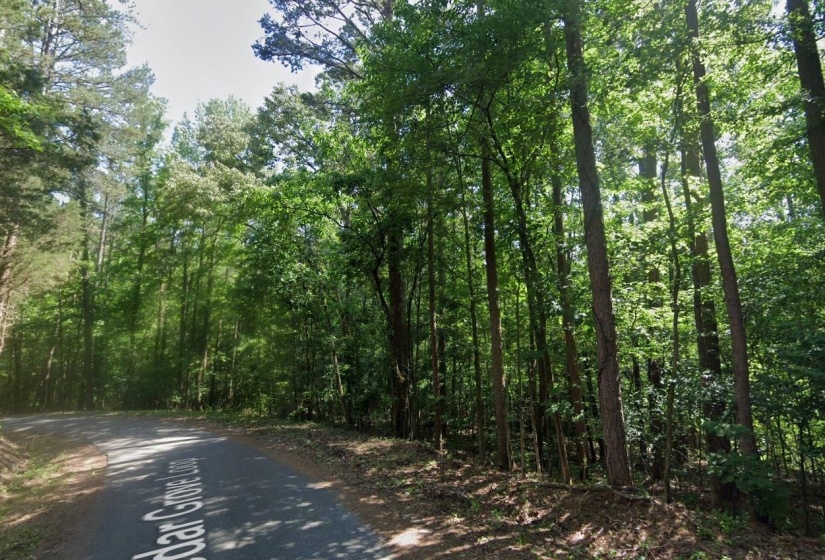 CEDAR GROVE LOOP, Bolivar, Tennessee 38008, 0 , 0 ,0,Land,For Sale,CEDAR GROVE,0,10217539