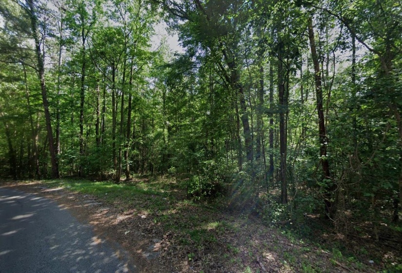 CEDAR GROVE LOOP, Bolivar, Tennessee 38008, 0 , 0 ,0,Land,For Sale,CEDAR GROVE,0,10217539