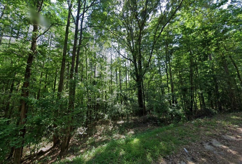 CEDAR GROVE LOOP, Bolivar, Tennessee 38008, 0 , 0 ,0,Land,For Sale,CEDAR GROVE,0,10217539