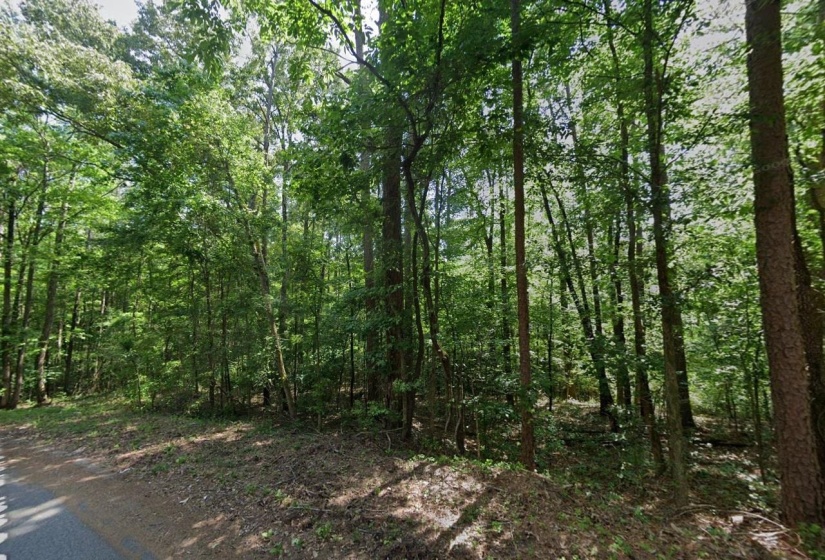 CEDAR GROVE LOOP, Bolivar, Tennessee 38008, 0 , 0 ,0,Land,For Sale,CEDAR GROVE,0,10217539