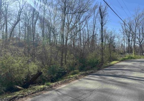 LOT 2 CRUMP LANDING RD, Crump, Tennessee 38327, ,Land,For Sale,CRUMP LANDING,10217556 LOT 2 CRUMP LANDING RD, Crump, Tennessee 38327, ,Land,For Sale,CRUMP LANDING,10217556