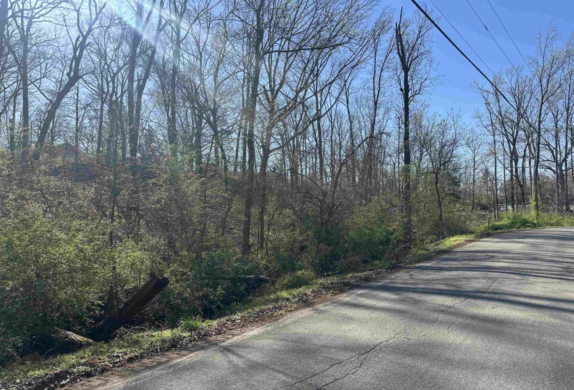 LOT 2 CRUMP LANDING RD, Crump, Tennessee 38327, ,Land,For Sale,CRUMP LANDING,10217556