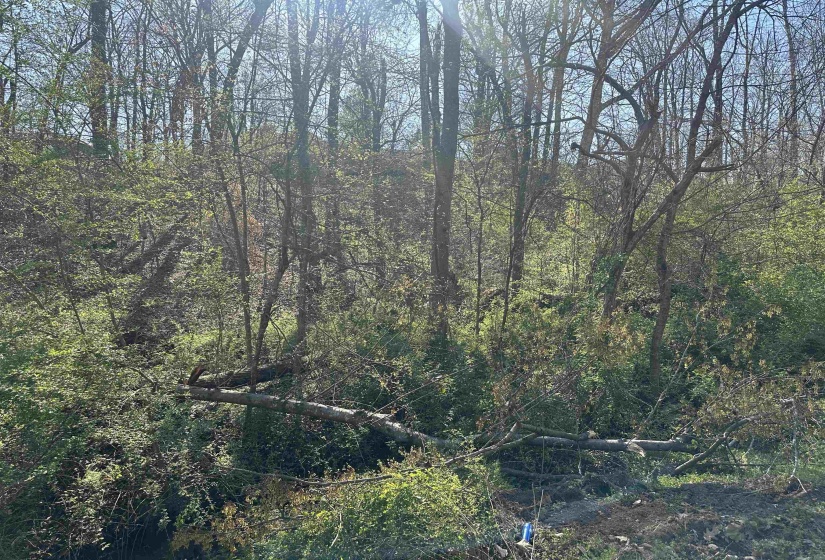 LOT 2 CRUMP LANDING RD, Crump, Tennessee 38327, ,Land,For Sale,CRUMP LANDING,10217556