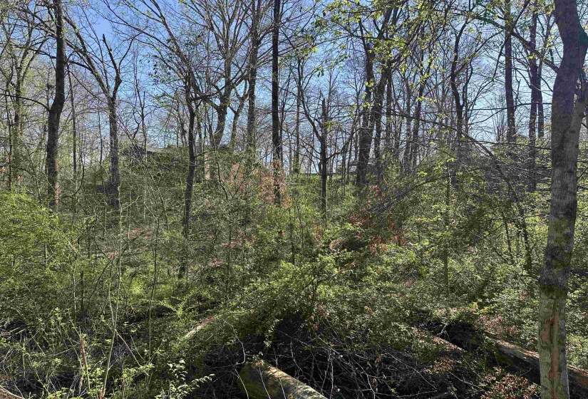 LOT 2 CRUMP LANDING RD, Crump, Tennessee 38327, ,Land,For Sale,CRUMP LANDING,10217556