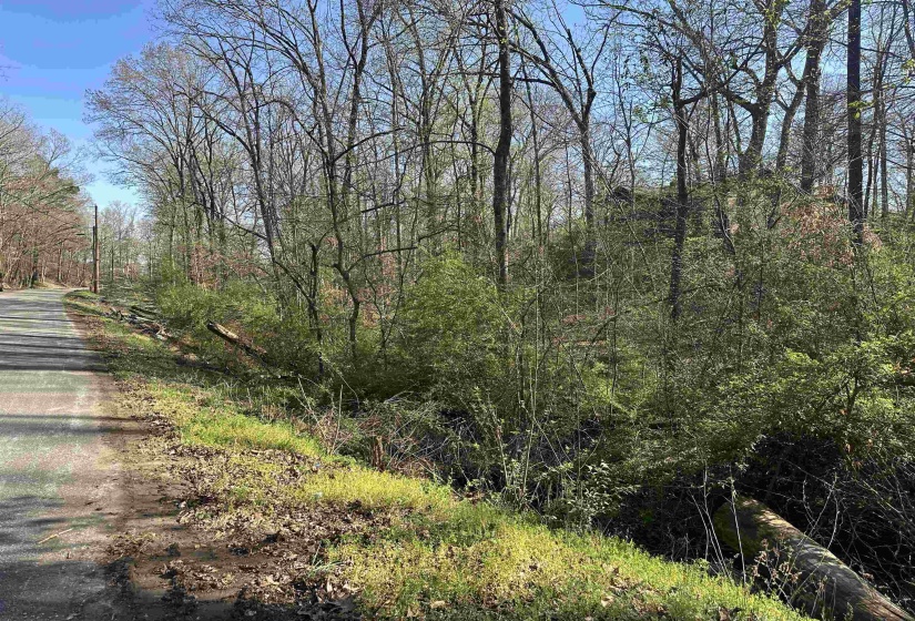 LOT 2 CRUMP LANDING RD, Crump, Tennessee 38327, ,Land,For Sale,CRUMP LANDING,10217556