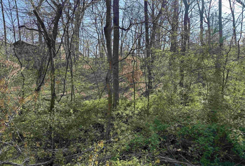 LOT 2 CRUMP LANDING RD, Crump, Tennessee 38327, ,Land,For Sale,CRUMP LANDING,10217556