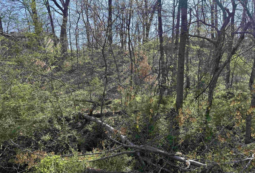 LOT 2 CRUMP LANDING RD, Crump, Tennessee 38327, ,Land,For Sale,CRUMP LANDING,10217556