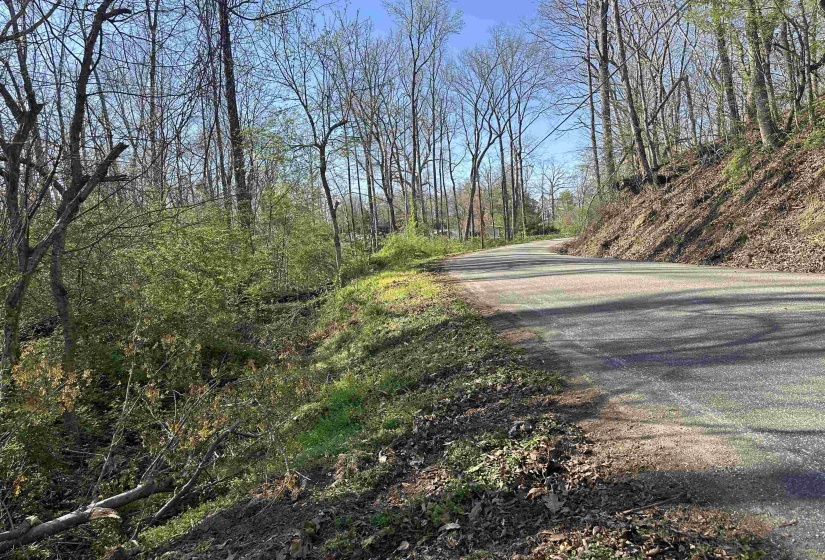 LOT 2 CRUMP LANDING RD, Crump, Tennessee 38327, ,Land,For Sale,CRUMP LANDING,10217556