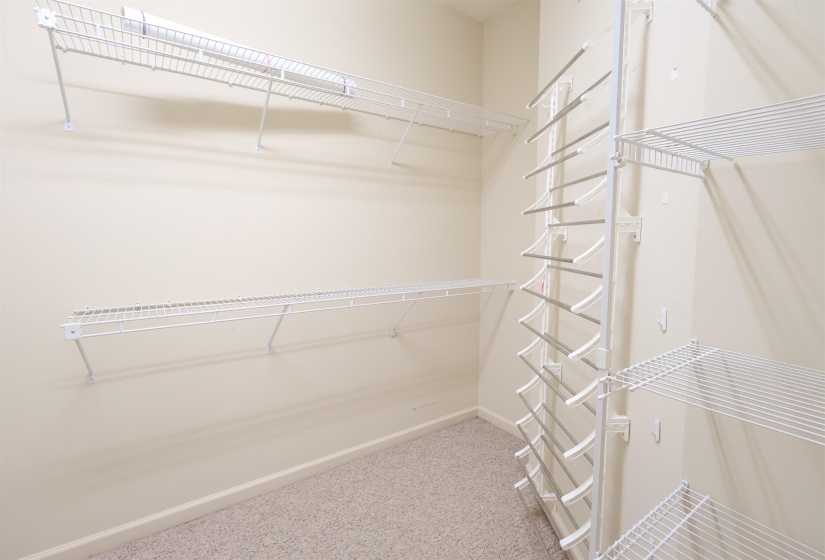 Walk in closet with carpet floors