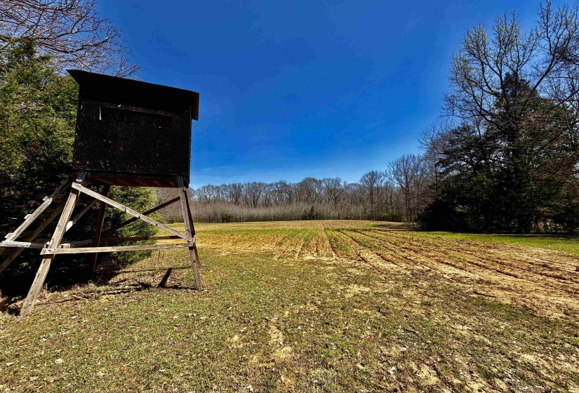 6195 BOBBITT RD, Unincorporated, Tennessee 38057, 3 Bedroom Bedrooms, 7 Room Rooms,2 BathroomBathrooms,Residential,For Sale,BOBBITT,0,10217569